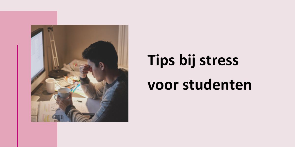 Tips bij stress voor studenten, met een foto van een gestreste student voor een computerscherm